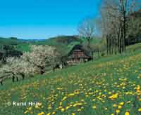 Bauernhaus am Hang  * Riesengebirge (Krkonose)