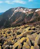 Am Steinboden Pec pod Sněkou * Riesengebirge (Krkonose)