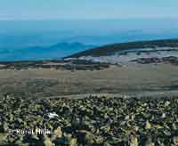 View from the hill Lun hora Pec pod Snkou * Krkonose Mountains (Giant Mts)