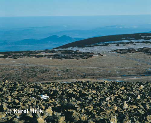 Ein Blick vom Hinterwiesenberg aus * Riesengebirge (Krkonose)