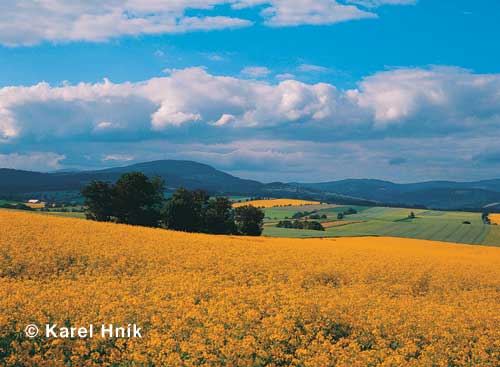 View of the Krkonoe Mountains from the highlands * Krkonose Mountains (Giant Mts)