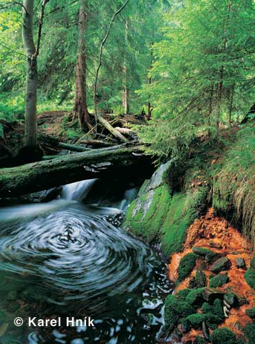 Stream ernohorsk potok * Krkonose Mountains (Giant Mts)