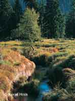 In the glacial cirque of the Elbe pindlerv Mln * Krkonose Mountains (Giant Mts)