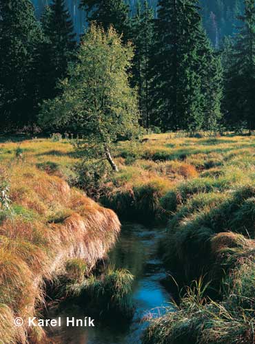 In the glacial cirque of the Elbe * Krkonose Mountains (Giant Mts)