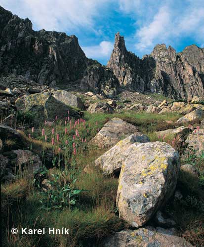 In den Schneegruben * Riesengebirge (Krkonose)