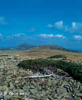 Tundra on the hill Lun hora Pec pod Snkou * Krkonose Mountains (Giant Mts)