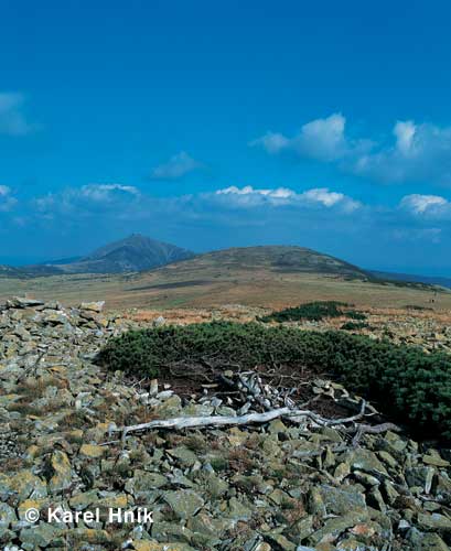 Tundra auf dem Hochwiesenberg * Riesengebirge (Krkonose)