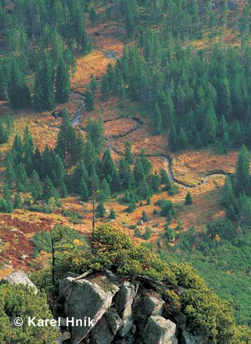 Mander der Elbe * Riesengebirge (Krkonose)