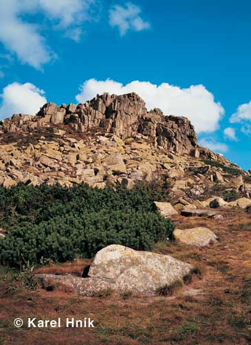 Die Veilchenspitze * Riesengebirge (Krkonose)