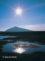 View odf Snka from the peatbog at the pa springs Pec pod Snkou * Krkonose Mountains (Giant Mts)