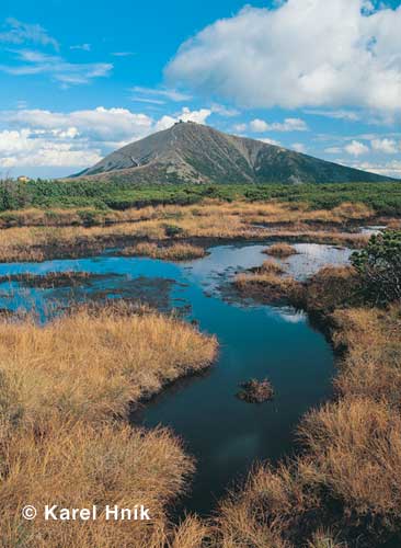 View of Snka from the peatbog at the pa springs * Krkonose Mountains (Giant Mts)