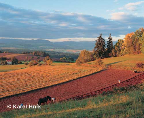 Erntezeit * Riesengebirge (Krkonose)