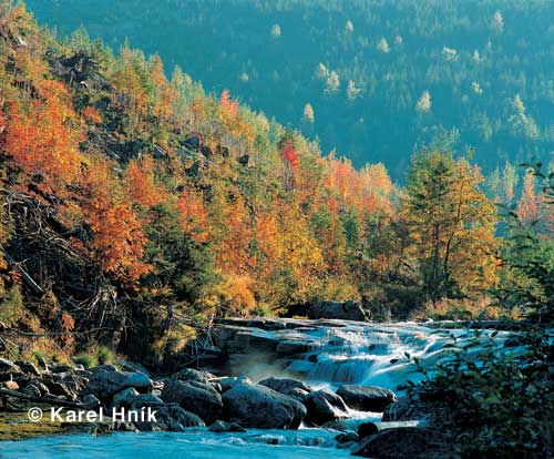 White Elbe * Krkonose Mountains (Giant Mts)