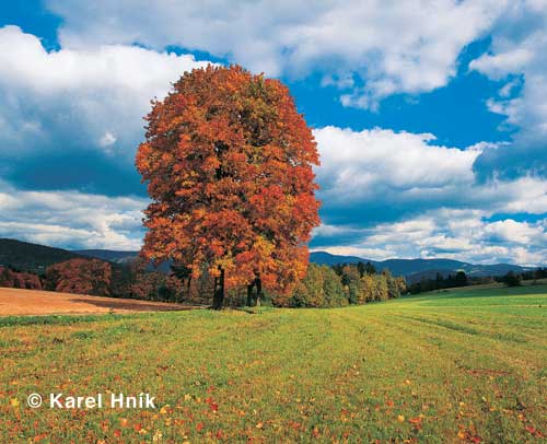 At the col Ruiky * Krkonose Mountains (Giant Mts)