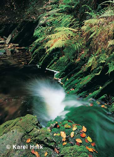 Herbstfarben * Riesengebirge (Krkonose)