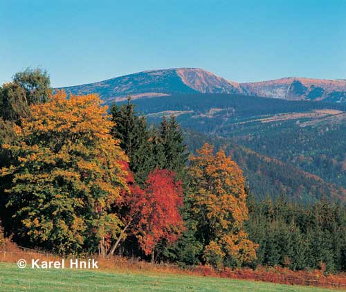 Die Kesselkoppe * Riesengebirge (Krkonose)