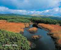 Die Pantschewiese pindlerův Mlýn * Riesengebirge (Krkonose)