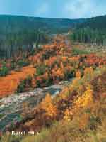 Der Elbgrund pindlerv Mln * Riesengebirge (Krkonose)