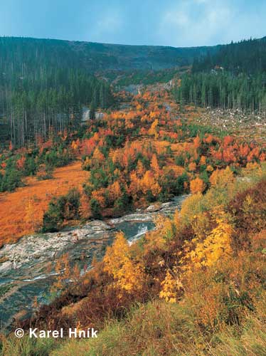 Elbe valley * Krkonose Mountains (Giant Mts)