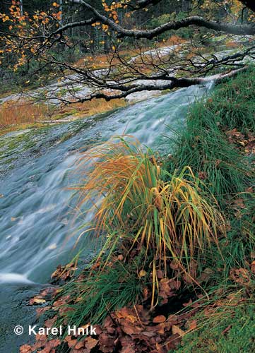 Im Kocheltal * Riesengebirge (Krkonose)