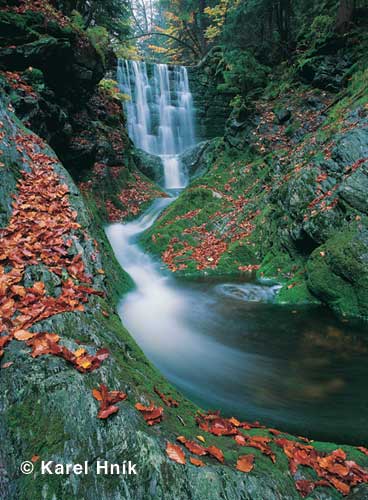 Stream ernohorsk potok * Krkonose Mountains (Giant Mts)