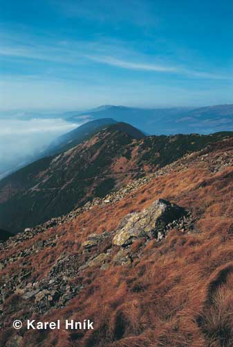 Crest of Koz hbety * Krkonose Mountains (Giant Mts)