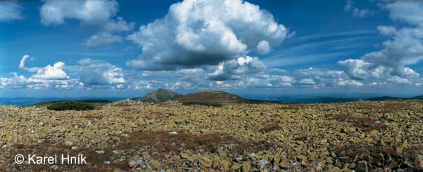 Tundra in the Krkonose mountains * Krkonose Mountains (Giant Mts)