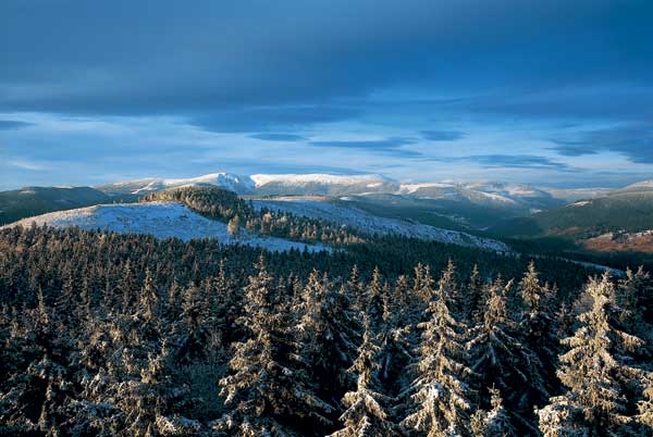 View from the Zaly * Krkonose Mountains (Giant Mts)