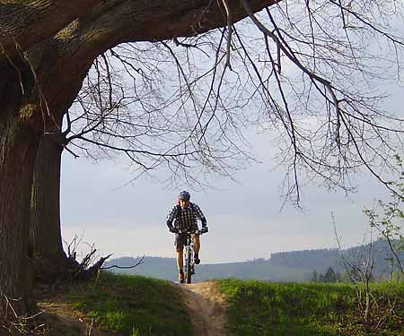 Path below the mountains * Krkonose Mountains (Giant Mts)