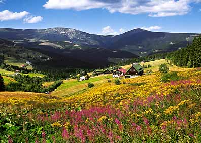 Panorama II * Krkonose Mountains (Giant Mts)