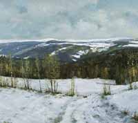 View over Krkonose from Vysoke Vysok nad Jizerou * Krkonose Mountains (Giant Mts)