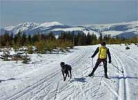 enlarge picture: Pln * Krkonose Mountains (Giant Mts)