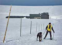 Bild vergrssern: Lucni boude (Wiesebaude) * Riesengebirge (Krkonose)