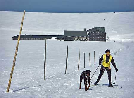 Lun bouda * Krkonose Mountains (Giant Mts)