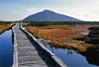 View of Snka from the peatbog at the pa springs  * Krkonose Mountains (Giant Mts)