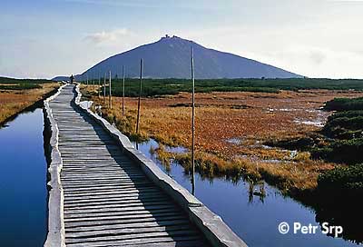 View of Snka from the peatbog at the pa springs * Krkonose Mountains (Giant Mts)