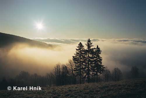 In der Umgebung von Benetzko * Riesengebirge (Krkonose)