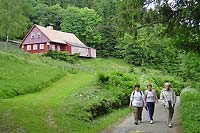   * Krkonose Mountains (Giant Mts)