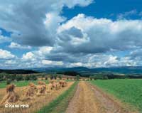 Southern side of the Krkonose mountains Doln Brann * Krkonose Mountains (Giant Mts)