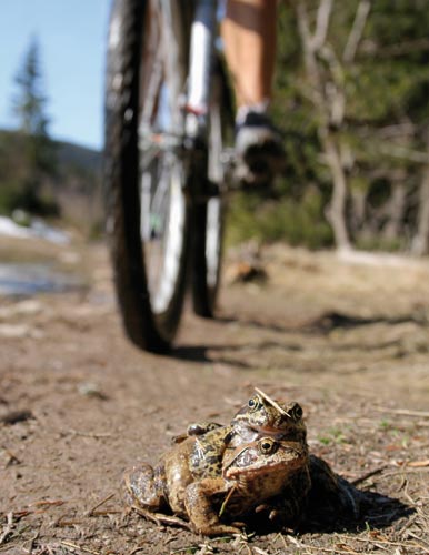 Prosm, neruit! * Krkonose Mountains (Giant Mts)