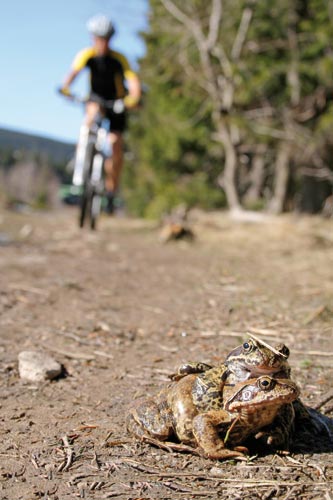 Prosm, neruit! * Riesengebirge (Krkonose)