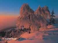 Winter magic  * Krkonose Mountains (Giant Mts)