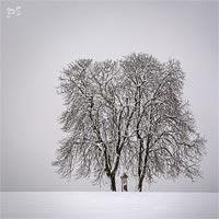 Bo muka v Podkrkono  * Karkonosze