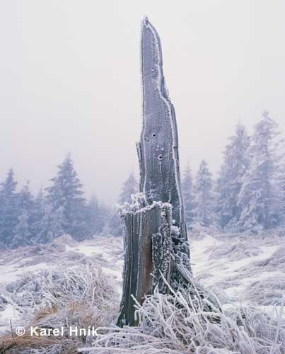 Die Schnheit des Raureifs * Riesengebirge (Krkonose)