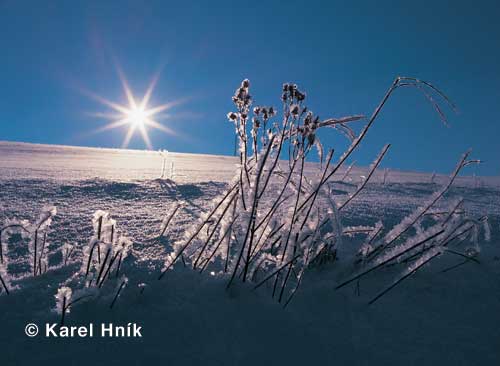 Winterpoesie * Riesengebirge (Krkonose)