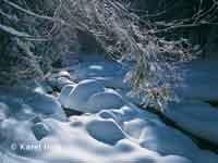 Winter poetry  * Krkonose Mountains (Giant Mts)