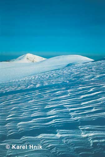 Snowy dunes * Krkonose Mountains (Giant Mts)