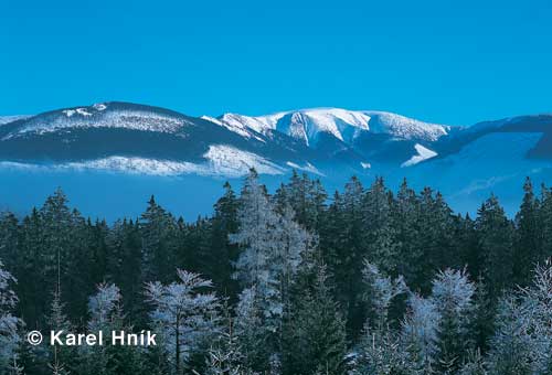 Der Ziegenrcken von den Schsselbauden aus * Riesengebirge (Krkonose)