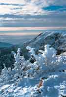 Bild vergrssern: ber der Kesselgrube * Riesengebirge (Krkonose)