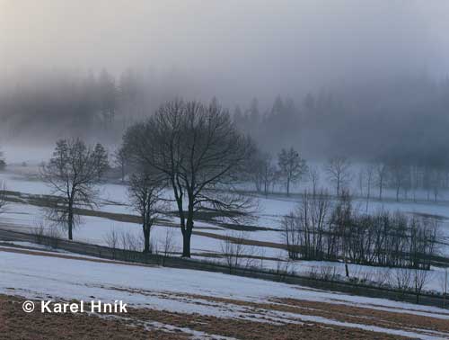 Early spring * Krkonose Mountains (Giant Mts)